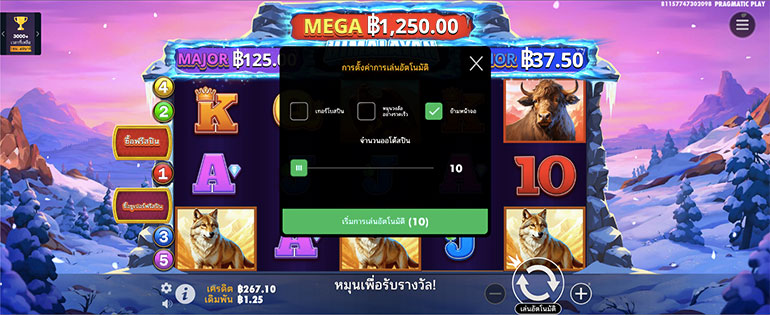 ตัวอย่างรายละเอียดการกำหนดรอบสำหรับเล่นสล็อตในรูปแบบอัตโนมัติ